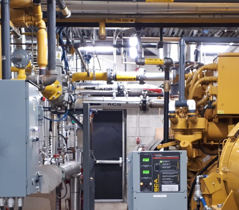 A Very Different Cogen: Keeping it Cool