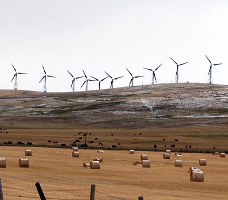 Regional differences in environmental assessments for renewables