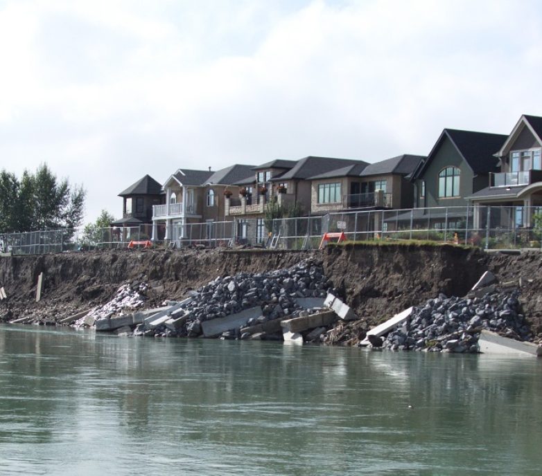 Bioengineering demonstration and education project