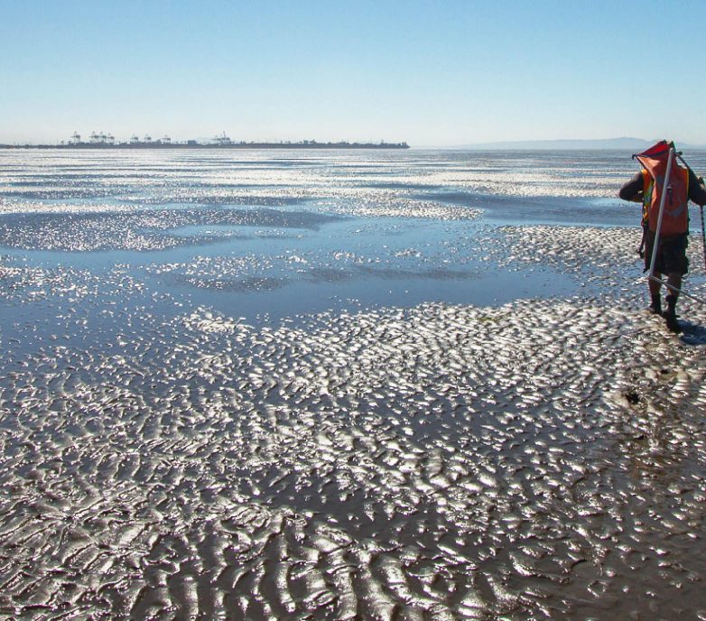 Habitat Enhancement Program