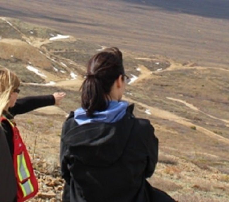 Combining forces from the outset – the benefit of an integrated engineering and environmental team