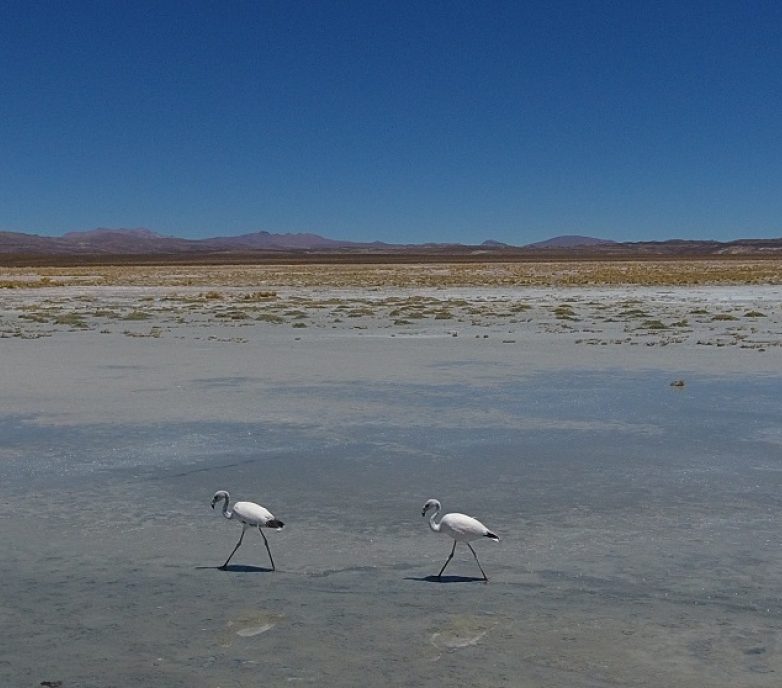 Climate risk design criteria evaluation for mine site expansion