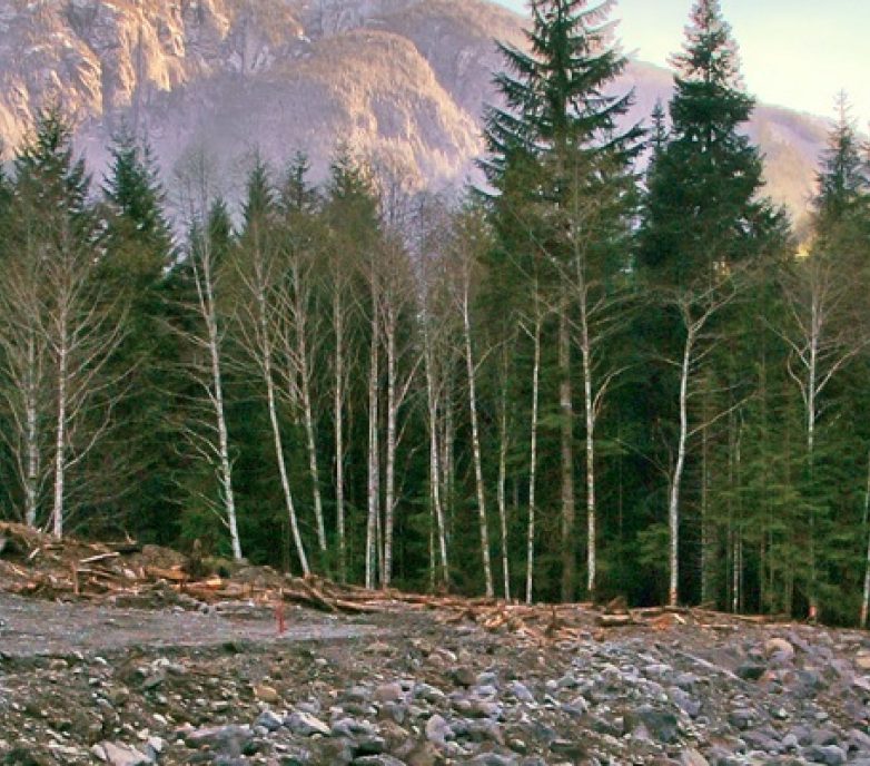 Herber River Dam Remediation