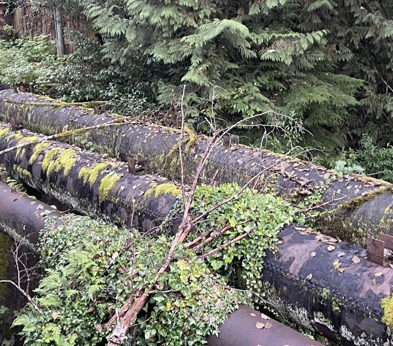 Canyon aerial crossing pipeline replacement