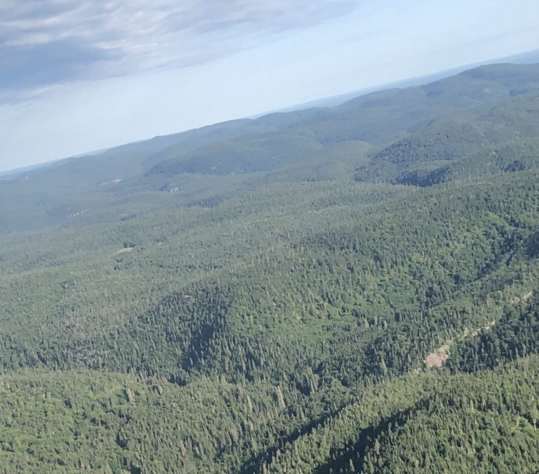 Smarter design, stronger returns: Optimizing the Marathon Palladium-Copper Project