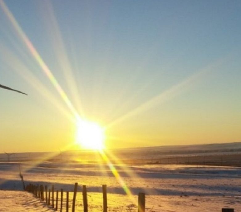 Oldman 2 Winds Project: Novel and cost-effective solutions