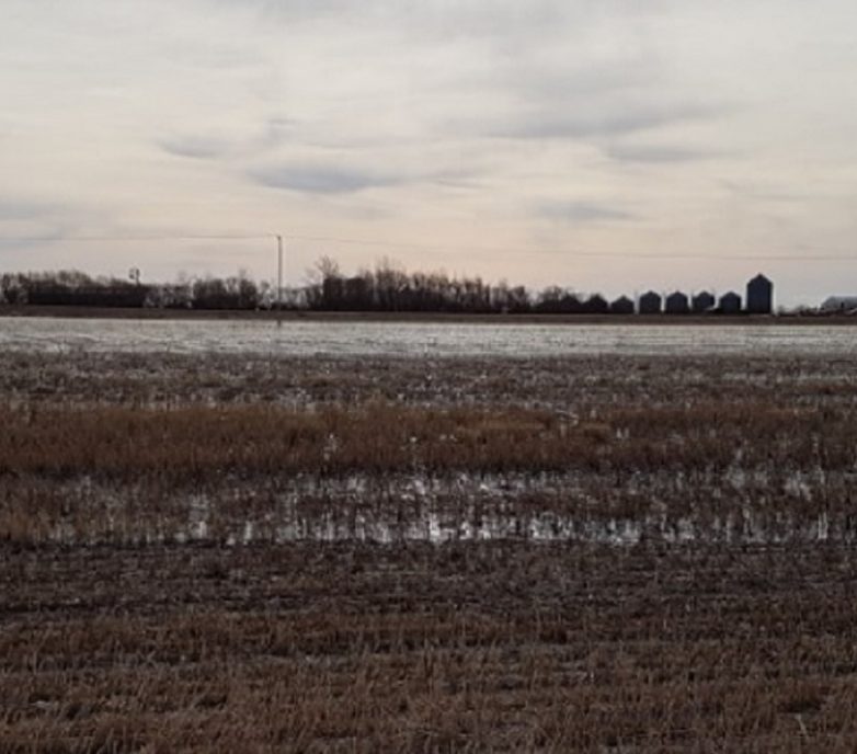 Riverview Solar Project: Successfully achieved the first utility-scale solar facility