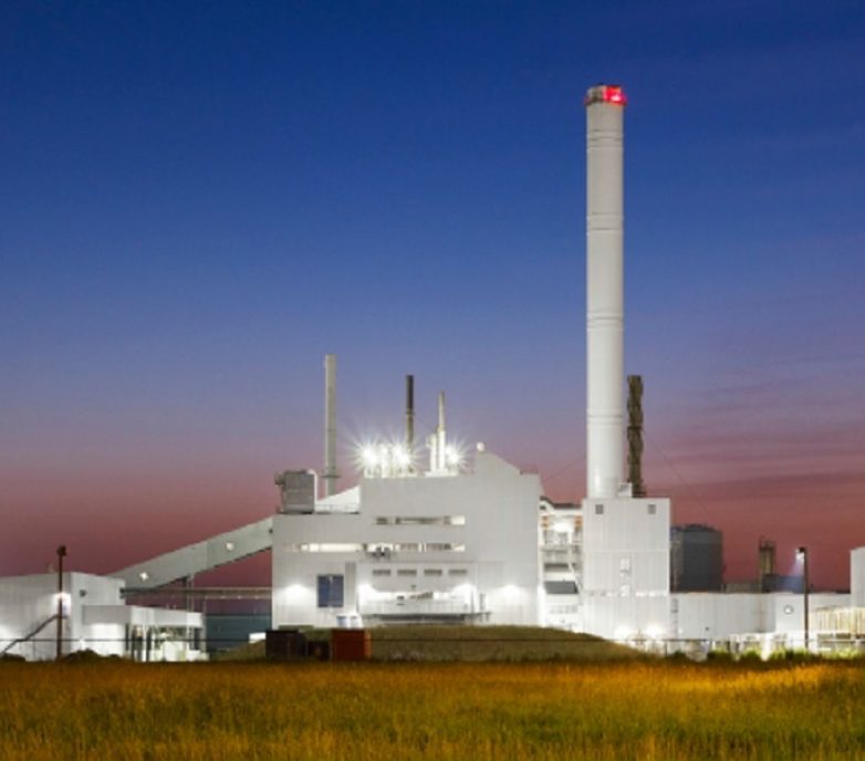 Rockwool: Plant Expansion