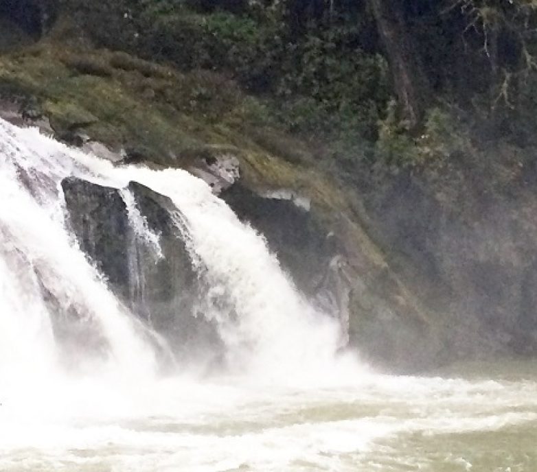 Hydroelectric Project: EMS Audit and GAP Analysis