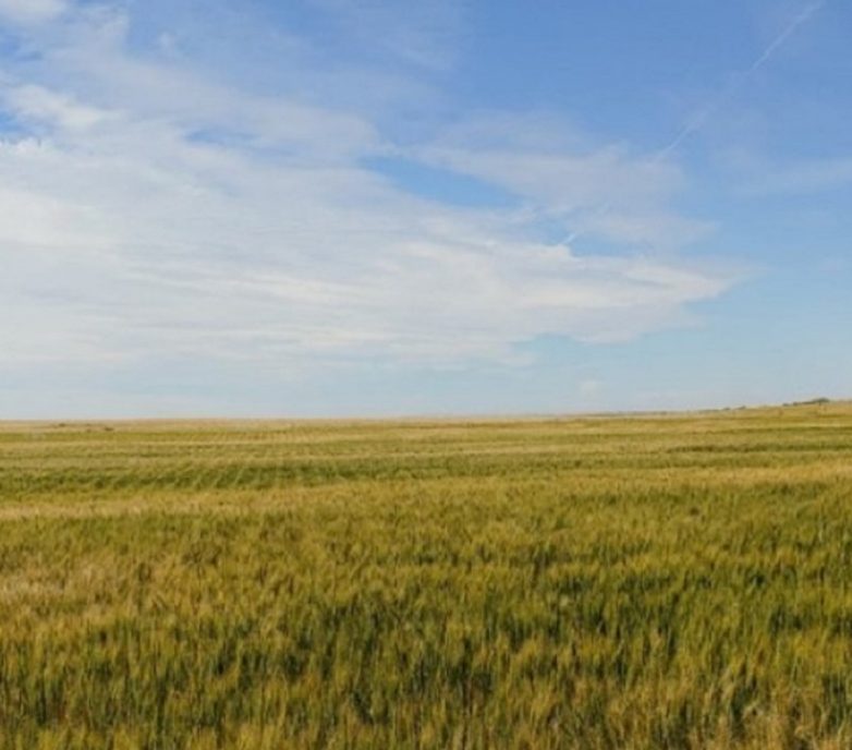 Yellow Lake and Burdett Solar Projects: Provide considerable cost savings to BluEarth