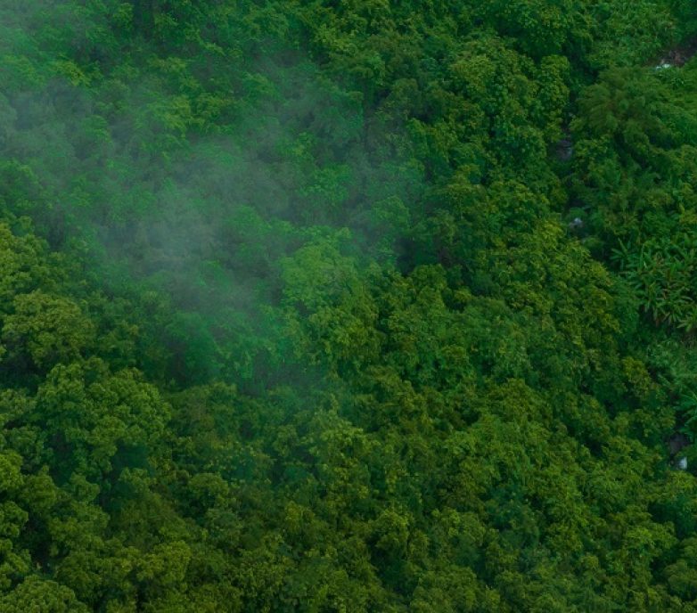 Finding solutions in an evolving sustainability landscape