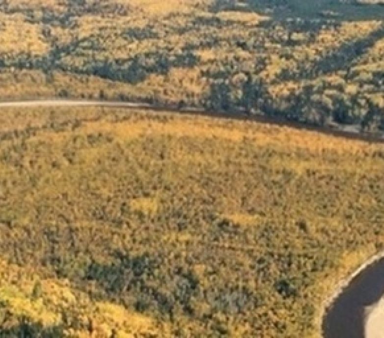 Why is everyone talking about ESG?