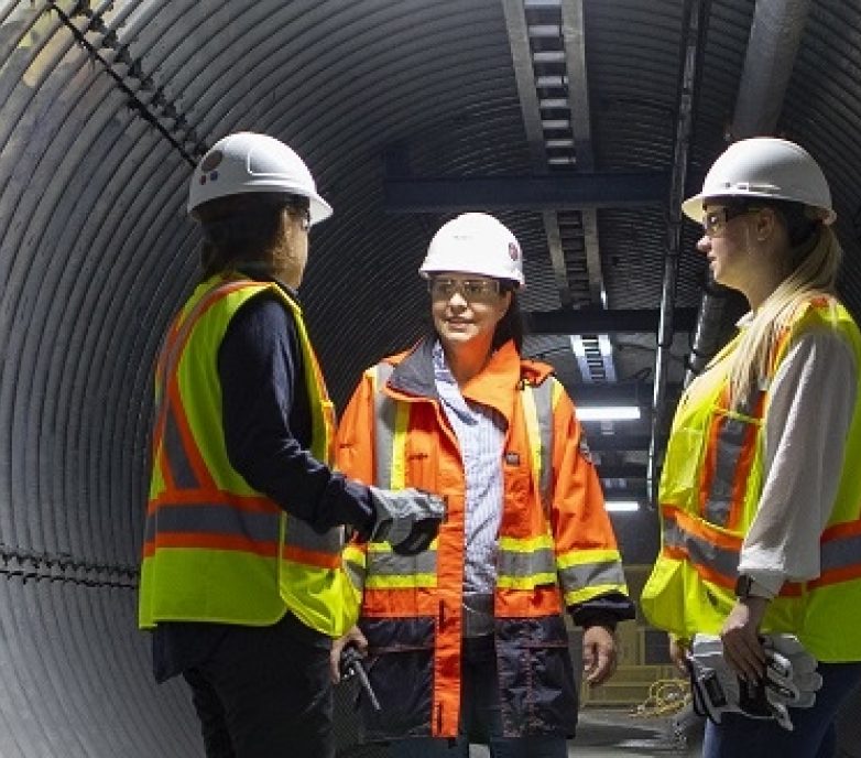 The Role of Diversity in the Mining Industry